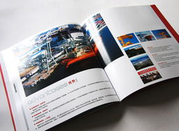 上維廣告公司 長沙一站式設計與營銷解決方案